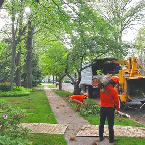 Bild von Galvan Tree Service