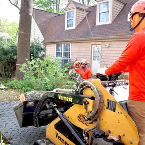 Bild von Galvan Tree Service
