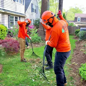 Bild von Galvan Tree Service