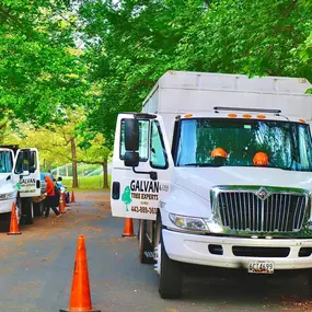 Bild von Galvan Tree Service