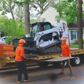 Bild von Galvan Tree Service