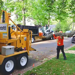 Bild von Galvan Tree Service