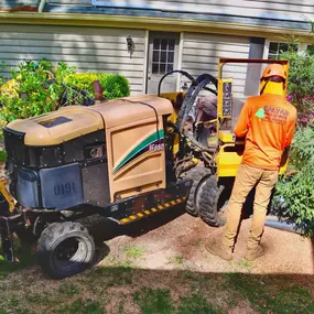 Bild von Galvan Tree Service