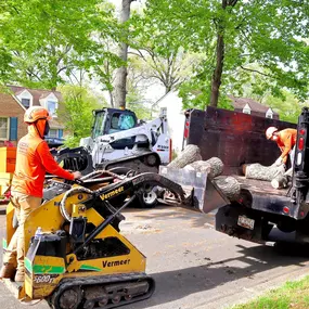 Bild von Galvan Tree Service