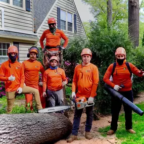 Bild von Galvan Tree Service