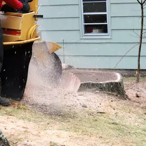 Bild von Golds Tree Service