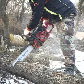 Bild von Golds Tree Service
