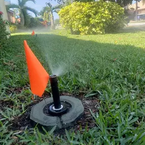 Bild von Sprinkler Easy