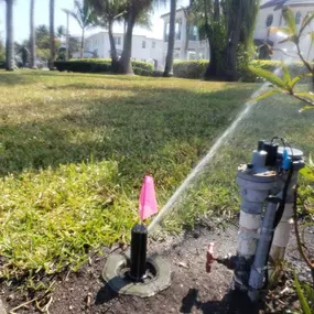 Bild von Sprinkler Easy