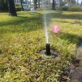 Bild von Sprinkler Easy