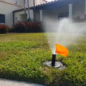 Bild von Sprinkler Easy