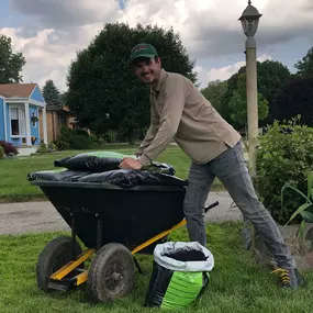 Bild von Sand River Landscaping