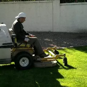 Bild von Sergios Lawn Services