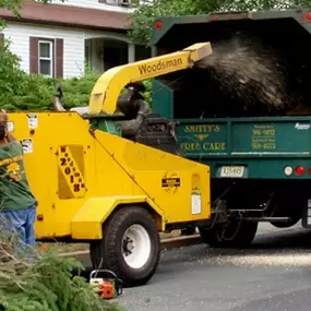 Bild von Smitty's Tree Care