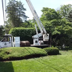 Bild von Smitty's Tree Care