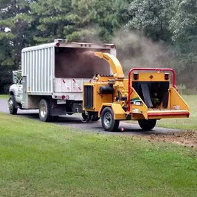 Bild von Specialty Tree Care