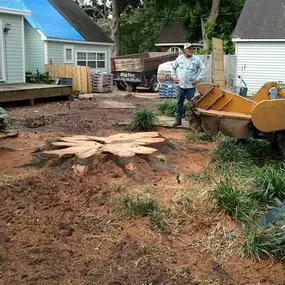 Bild von Specialty Tree Care