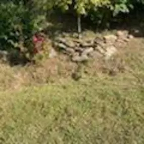 Bild von Good Neighbor Mowing and Lawn Care