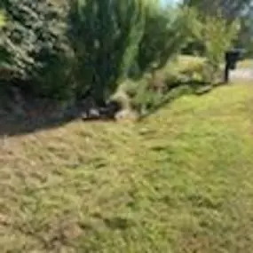 Bild von Good Neighbor Mowing and Lawn Care