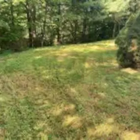 Bild von Good Neighbor Mowing and Lawn Care