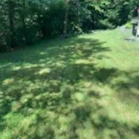 Bild von Good Neighbor Mowing and Lawn Care