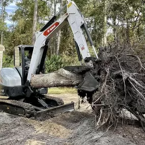 Bild von Florida Landworx, LLC