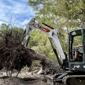 Bild von Florida Landworx, LLC