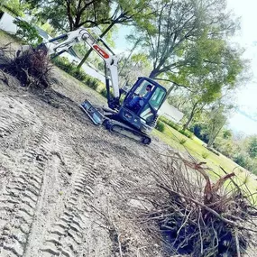 Bild von Florida Landworx, LLC