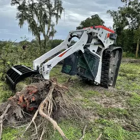 Bild von Florida Landworx, LLC