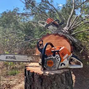 Bild von DoughBoyz Stump Removal and Tree Service