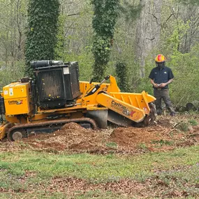 Bild von DoughBoyz Stump Removal and Tree Service