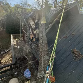 Bild von DoughBoyz Stump Removal and Tree Service