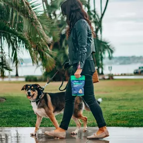Bild von Sit Happens Dog Training Jacksonville