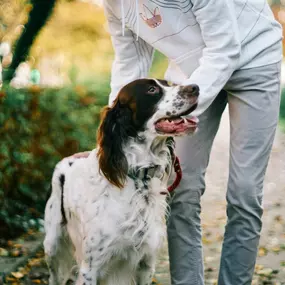 Bild von Sit Happens Dog Training Jacksonville
