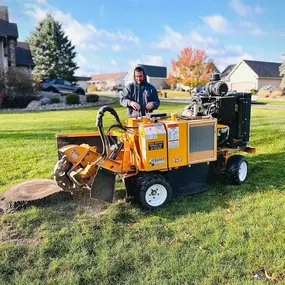 Bild von DPH Tree Services LLC
