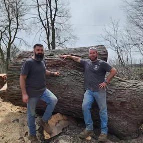 Bild von DPH Tree Services LLC