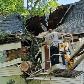Bild von DPH Tree Services LLC
