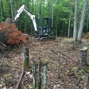 Bild von Semper Fi Excavation