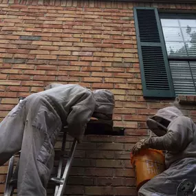 Bild von The Honey Bee Rescuers Bee Removal