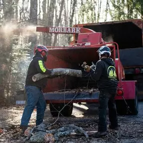 Bild von Gardner Tree Service