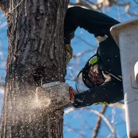 Bild von Gardner Tree Service