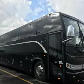 Bild von SF Limo