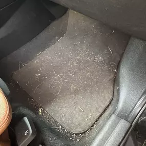 Bild von Istvan Robert Varga