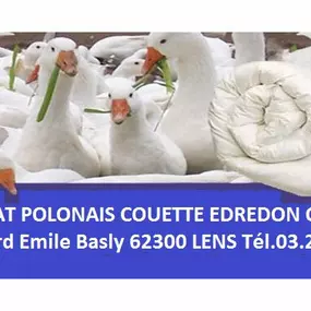 Bild von Artisanat polonais Couette Edredon Pierzyna Oreiller Richardson Disquaire