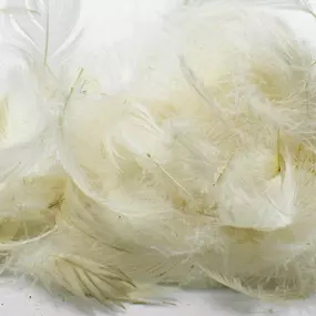 Bild von Artisanat polonais Couette Edredon Pierzyna Oreiller Richardson Disquaire