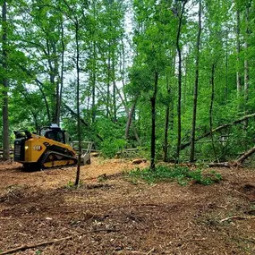 Bild von Barked Up Forestry