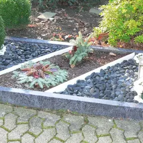 Bild von Philipp Niemann Bestattungshaus