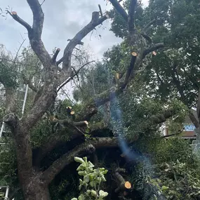 Bild von Bradleys Landscapes & Driveways