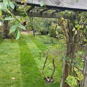 Bild von Bradleys Landscapes & Driveways