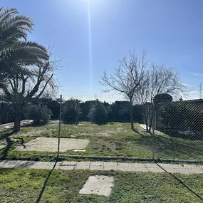 2025-02-066.jpg